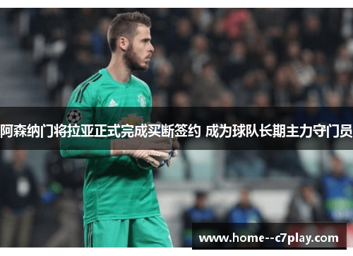 阿森纳门将拉亚正式完成买断签约 成为球队长期主力守门员 阿森纳门将拉亚正式完成买断签约 成为球队长期主力守门员